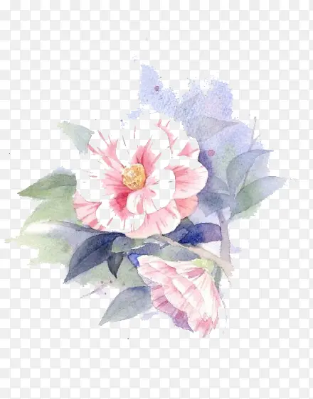 水彩鲜花