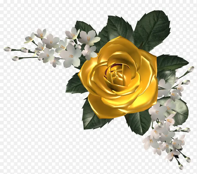 手绘花卉插画