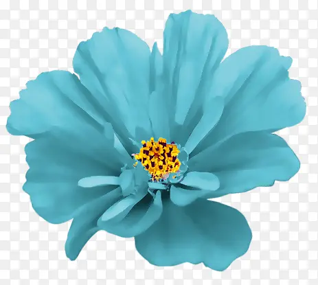 花卉
