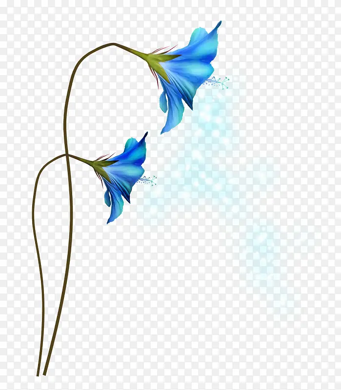 花卉