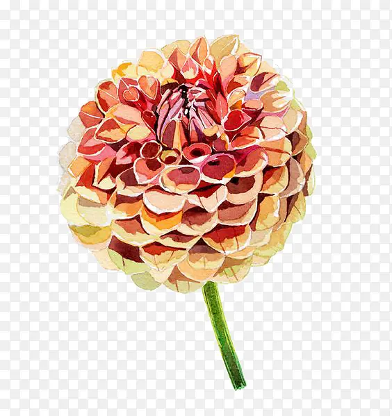 手绘花朵