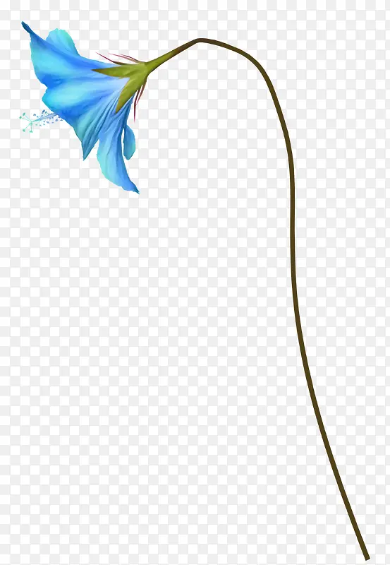 花卉