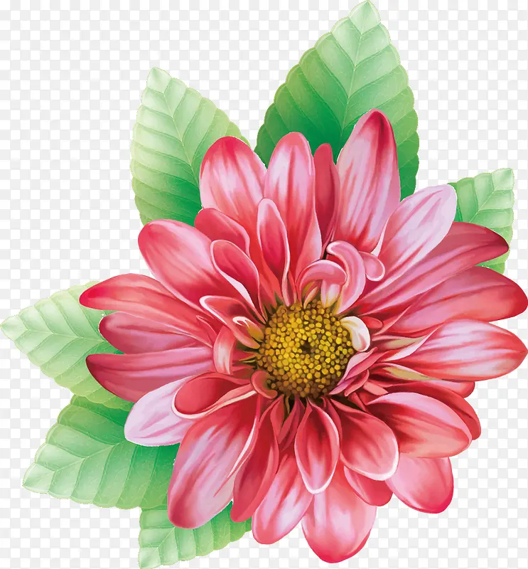 鲜花矢量素材