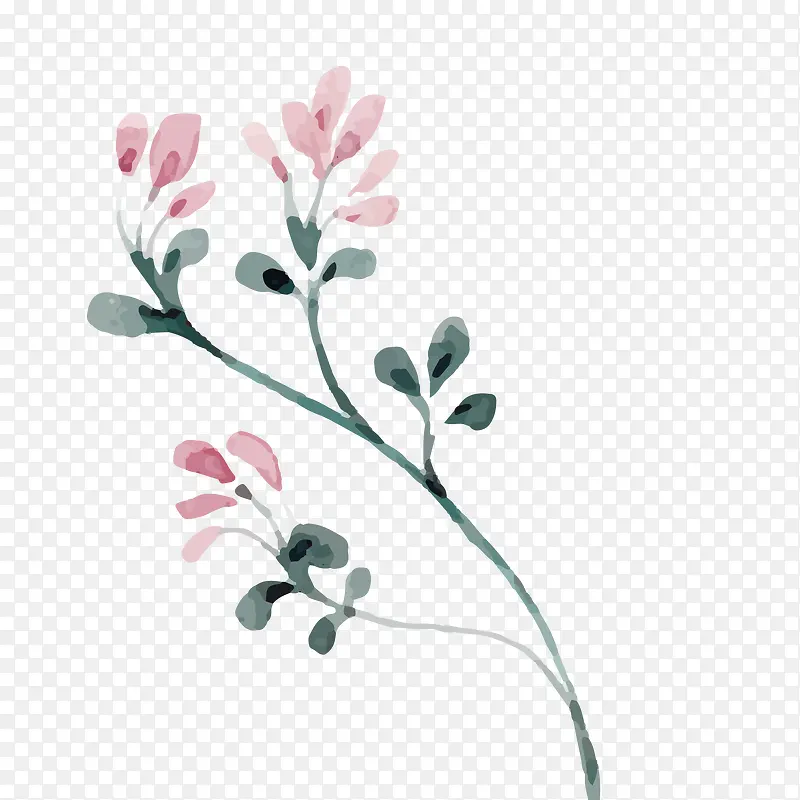 手绘花朵PNG下载