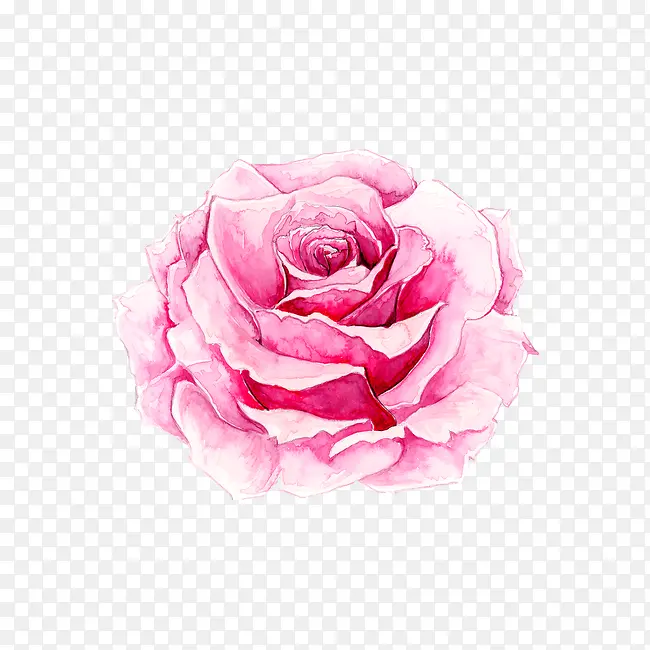 鲜花