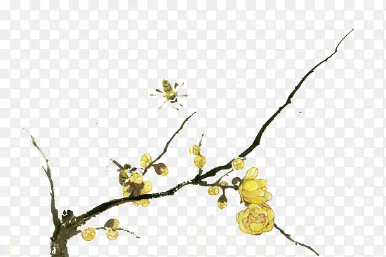 树枝上的黄色花朵手绘