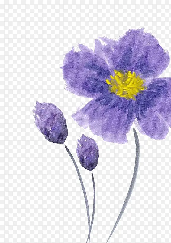 紫色手绘花朵黄色花蕊
