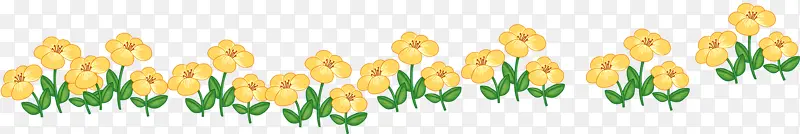 鲜花花边
