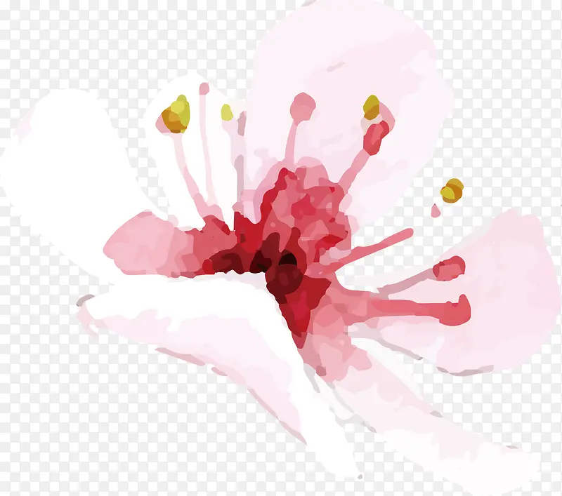 手绘鲜花PNG下载