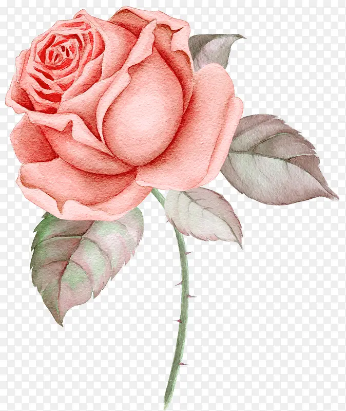 彩绘鲜花