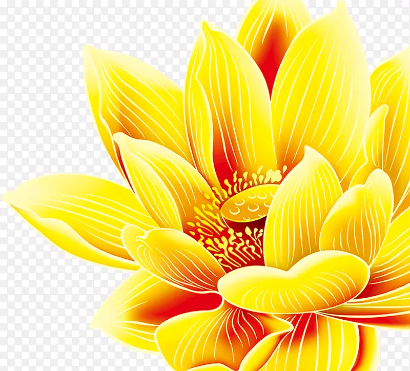 黄色手绘花朵莲花
