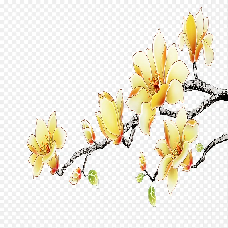 花枝