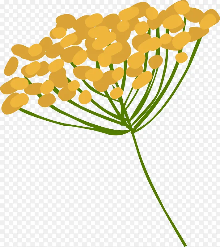 手绘花朵