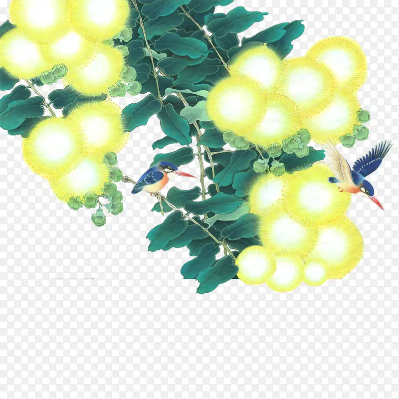 花鸟图