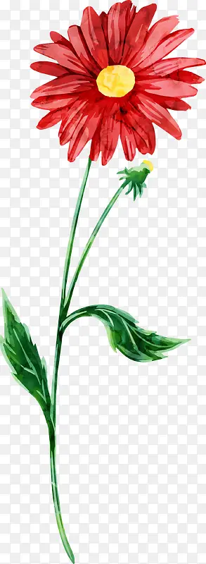 手绘花朵