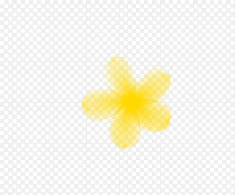 黄色小花