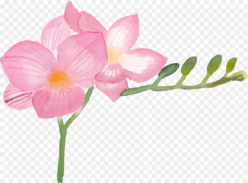 手绘鲜花