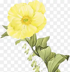 花朵彩绘黄色花朵装饰