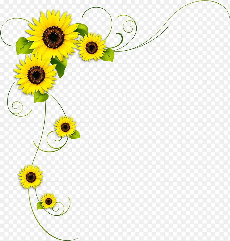 清新自然黄色花朵边框装饰