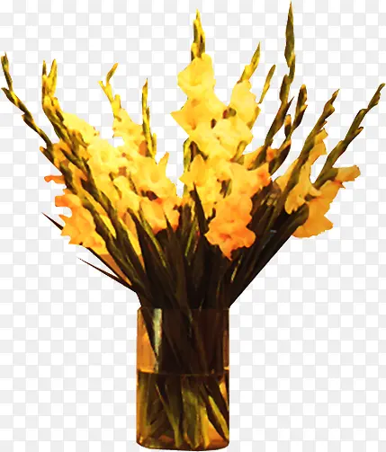 手绘黄色花朵植物培养