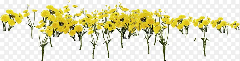 黄色春季花朵装饰