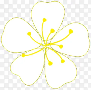 黄色五瓣花朵