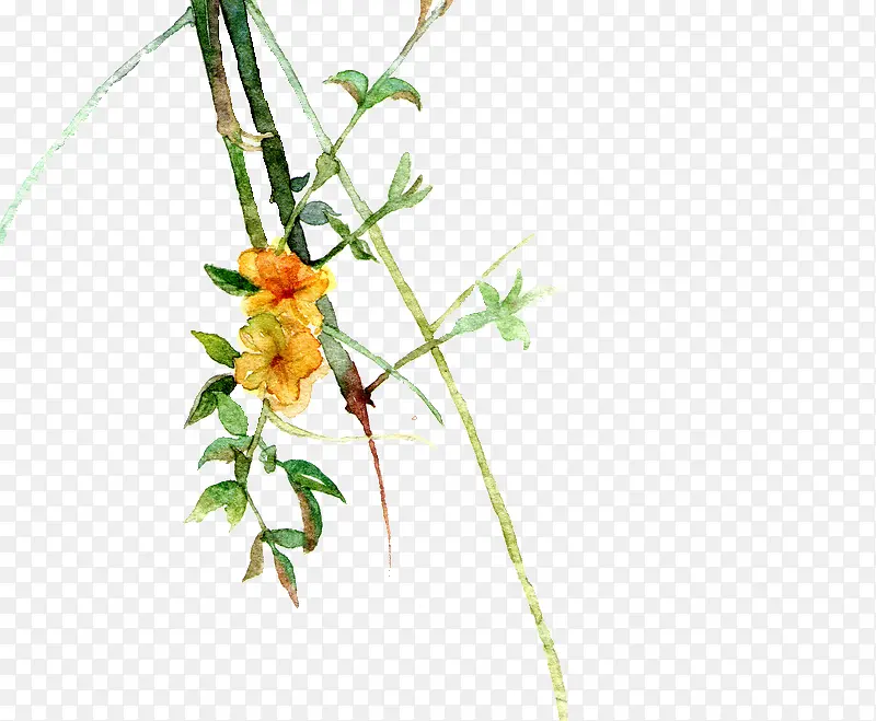 水彩黄色花朵树枝