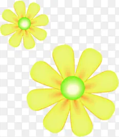 端午节黄色花朵