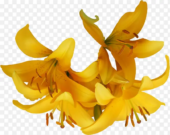 黄色卡通花朵夏日海报
