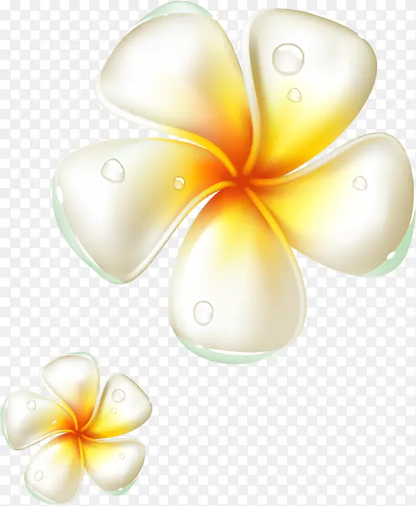 手绘白黄色水晶花朵