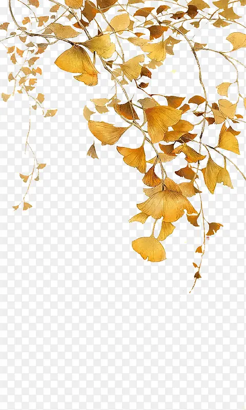 金黄色枫叶飘落装饰