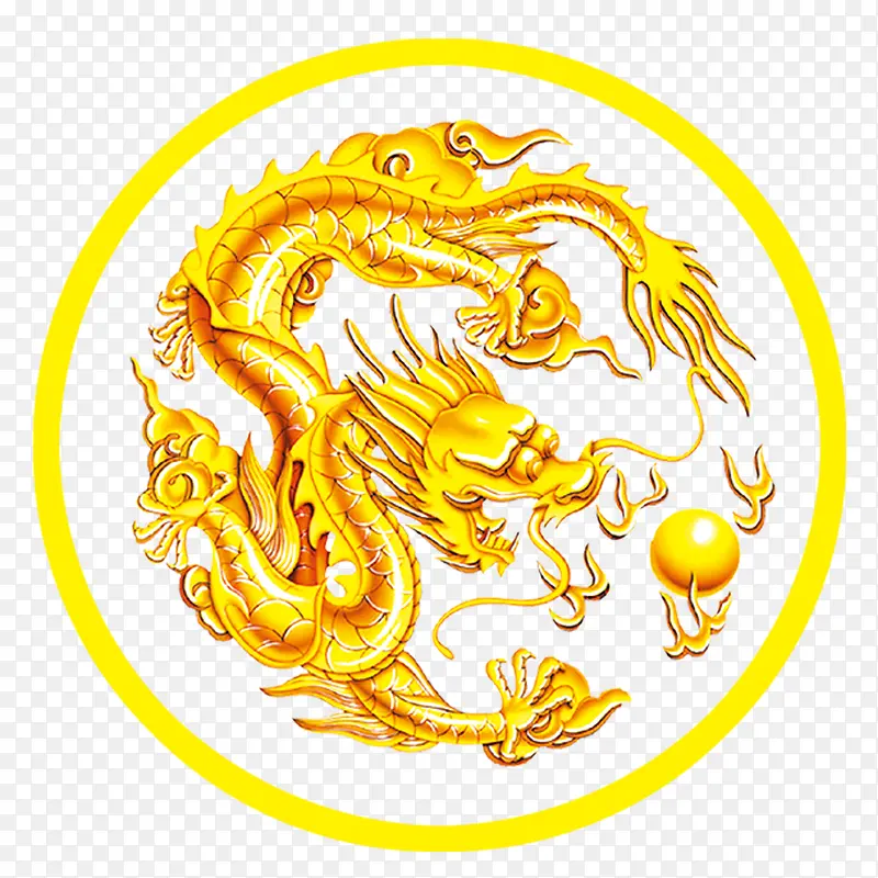 金黄色龙