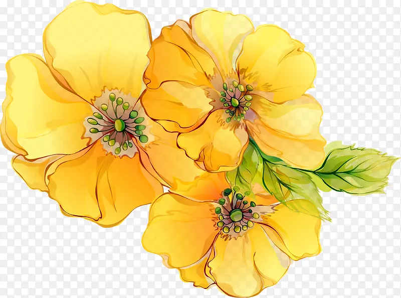 黄色花朵水彩新年