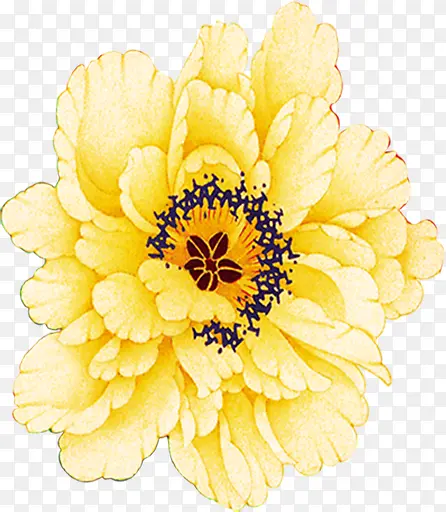 手绘黄色古典花朵装饰
