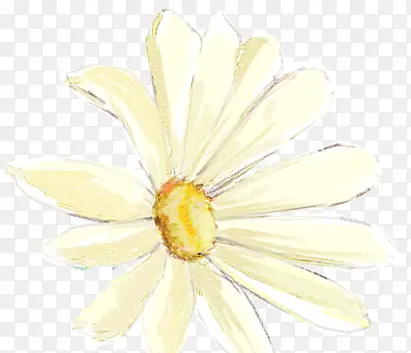 黄色浪漫花朵手绘