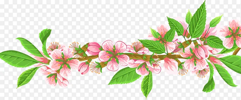 一枝花