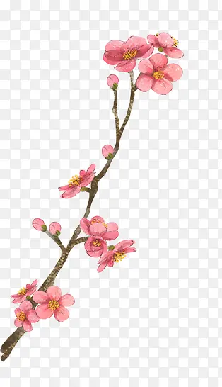 桃花桃枝PNG图片素材下载_图片编号10313683-PNG素材网