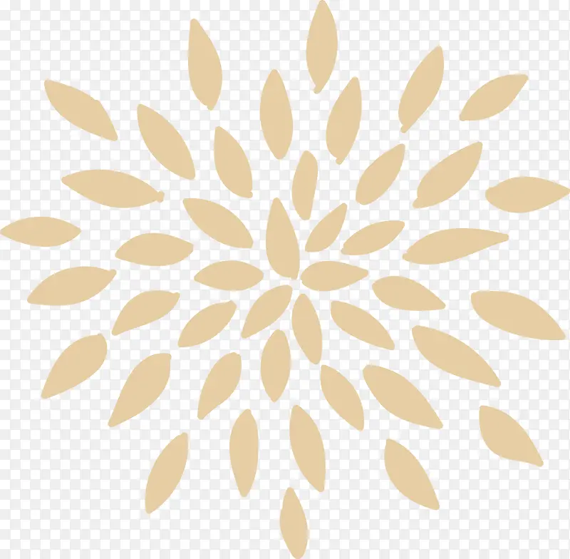 黄色花瓣