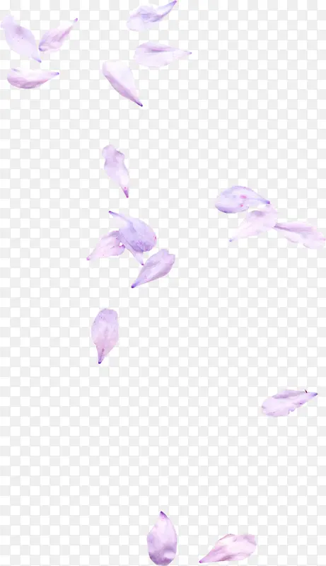紫色花瓣漂浮素材