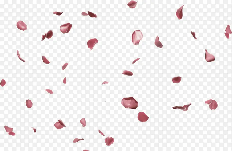 红色花瓣漂浮素材
