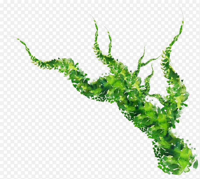绿色水彩藤蔓