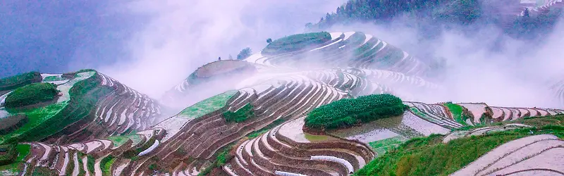 梯田风景