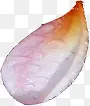 端午节粉红色花瓣