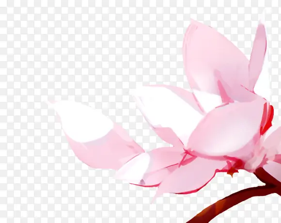 立绘彩绘风格粉红色桃花