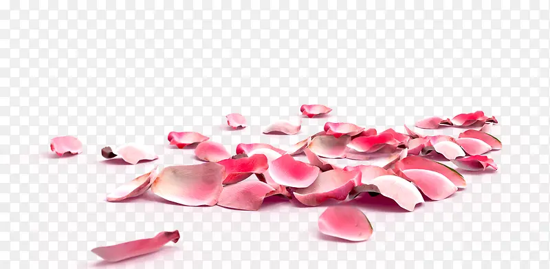 一堆粉红色的花瓣