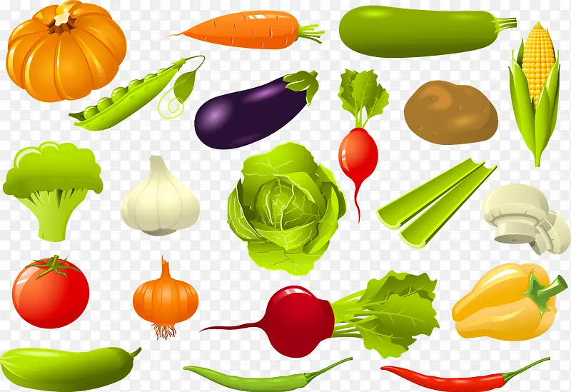 矢量的蔬菜图