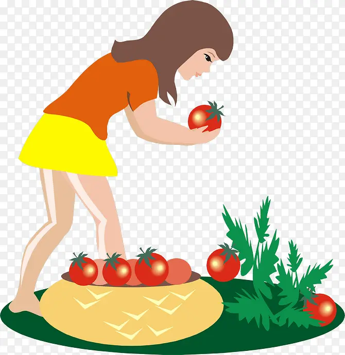女孩摘西红柿