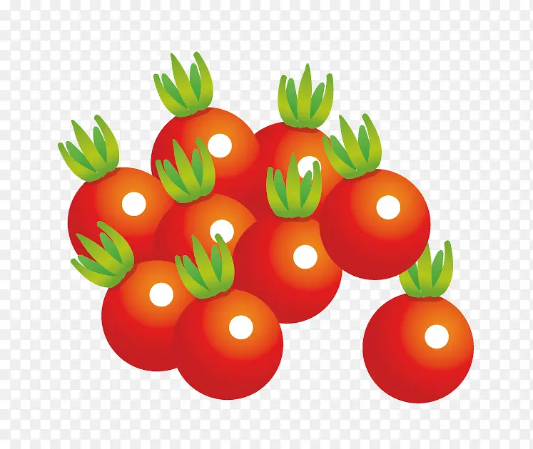 矢量小西红柿