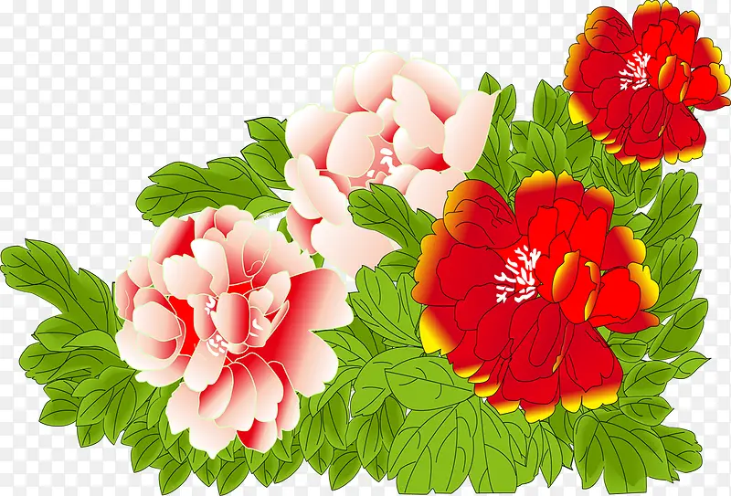 手绘粉红色花朵植物