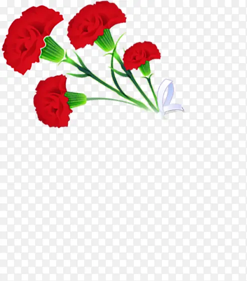 红色鲜花花朵植物母亲节花束